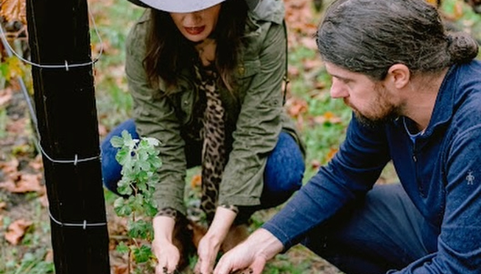 Napa Green Vineyard Certification