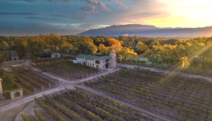 Casa Rondeña Winery