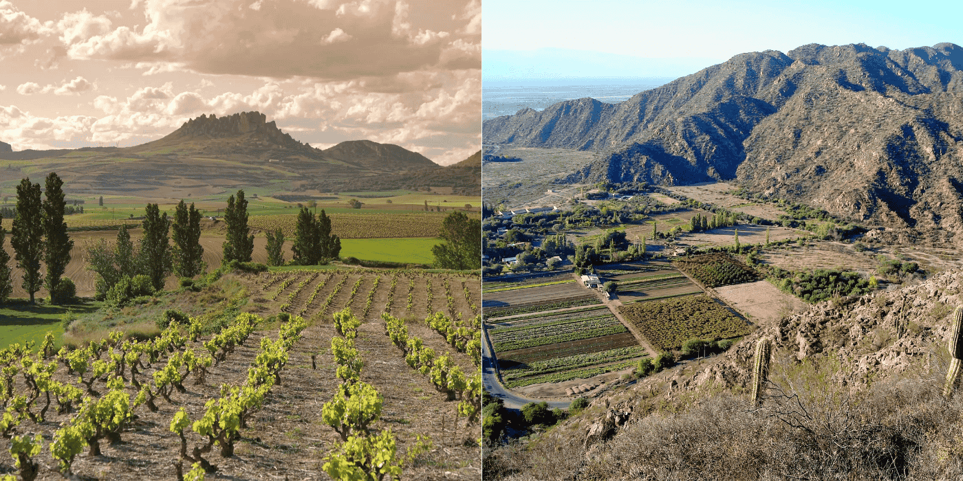 Vineyards In The Andes Regions Vineyards in the Andes regions